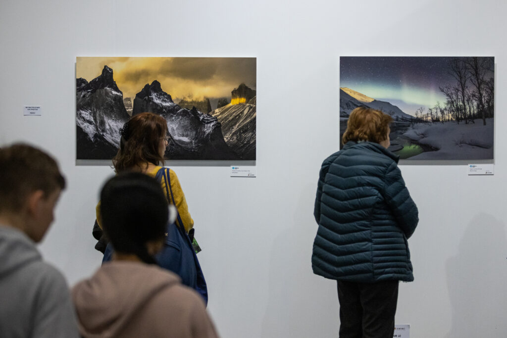 Curiosité de la nature - expo